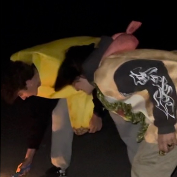 Meet your Posher, Camden - Picture 4 of 4